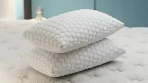 Ion Therapy Sleep Pillow